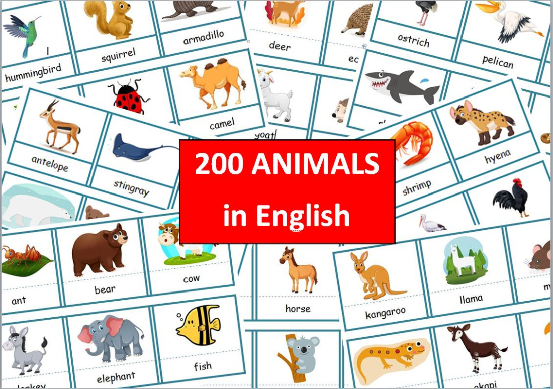 Produkt - ***200 ANIMALS***